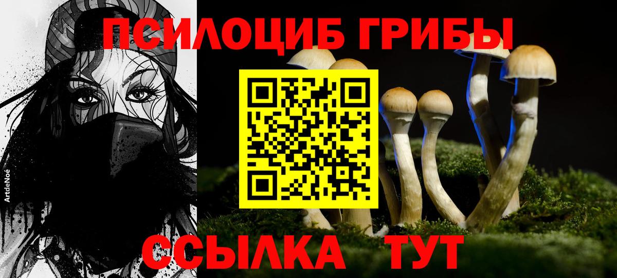 Галлюциногенные грибы Cubensis  Галлюциногенные грибы MAGIC MUSHROOMS  купить наркотик  Тавда  Вход с VPN 