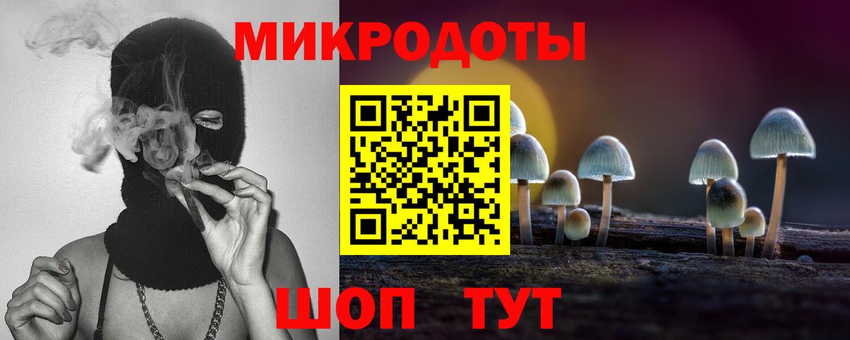 Псилоцибиновые грибы Psilocybe Тавда