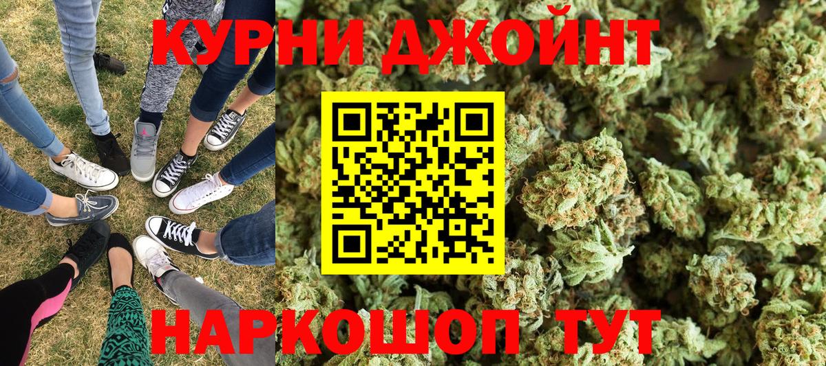 Конопля конопля Тавда
